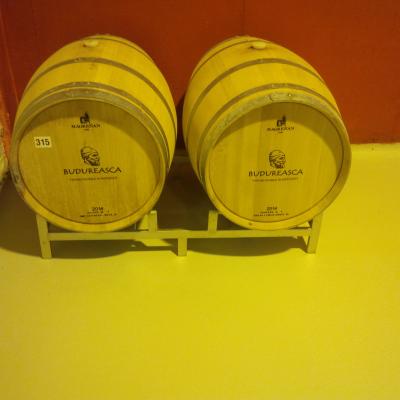 Sistem Vertical Suport Baza